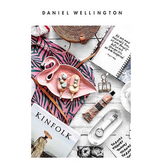 Daniel Wellington DanielWellington）DW原装表带时尚轻奢表带DW00200168（适用于28MM）