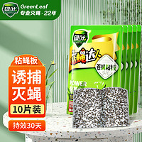GREEN LEAF 绿叶 粘蝇纸灭苍蝇器粘蝇胶10片装灭蝇粘板GL2109