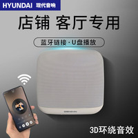 HYUNDAI/现代影音 壁挂式 无线蓝牙壁挂音响 白色