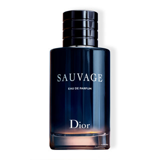 Dior 迪奥 旷野 男士香水 EDP 100ml