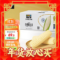 年货先到家：北纬47° 白甜糯玉米 220g*10穗