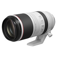 Canon 佳能 RF100-500mm F4.5-7.1 L IS USM 超远变焦镜头 RF全画幅微单专用