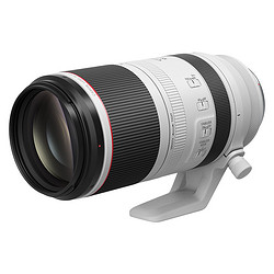 Canon 佳能 RF100-500mm F4.5-7.1 L IS USM 超遠變焦鏡頭 RF全畫幅微單專用