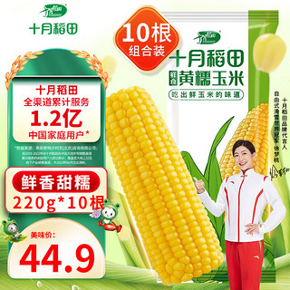 十月稻田 五常鲜食玉米 220g*10袋
