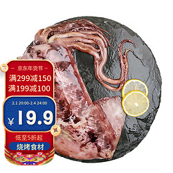 SOLID STANDARD 纯色本味 冷冻深海大鱿鱼 去脏去牙去眼对开 烧烤 生鲜 500g/