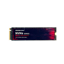 GUDGA 固德佳 GVL M.2 NVMe 固态硬盘 1TB PCle3.0