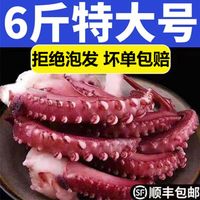 禧客鲜  新鲜大章鱼足鱿鱼须脆口大章鱼足新鲜速冻海鲜章鱼须海鲜海货 鱿鱼须3斤