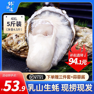 XIANHAIDAO 鲜海道 生蚝  乳山牡蛎 新鲜海蛎子生鲜贝类 特大号4XL5斤送酱（10-14只））