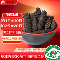 千舟岛淡干营养小海参干货刺参10只干货年货 3.5-4cm小海参每满20只赠1只