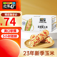 北纬47° BEIWEI）玉米 甜糯玉米 东北黏粘玉米棒  低脂轻食代餐杂粮 北纬47度玉米 花甜糯玉米200g*10穗