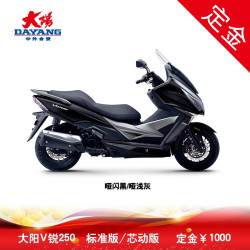 大阳(dayang)大阳v锐dy250t踏板车250cc水冷电喷摩托车 芯动版 哑闪黑