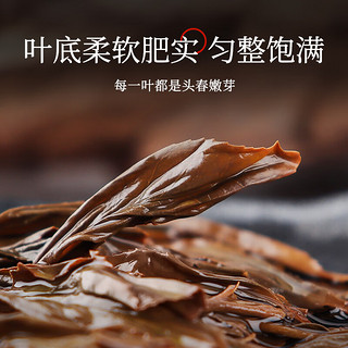 第一江南正山小种特级红茶武夷山浓香风生水起茶叶礼盒装250g年货节物