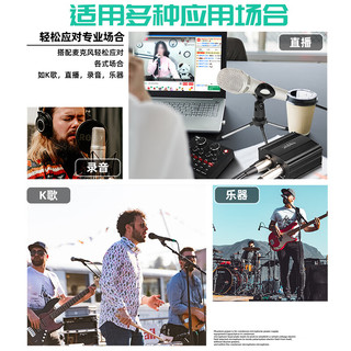 depusheng 48V幻象供电源 专业录音电容麦克风专用供电器外置配录音电容话筒麦克风稳定缓冲 48V专业幻象供电电源