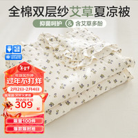 BEYOND 博洋 全棉双层纱艾草夏凉被抑菌夏被可水洗机洗被子双人被子薄 沁风花巷(B类) 220
