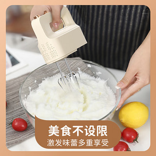 志高（CHIGO）打蛋器 手持电动料理机家用迷你打奶油机搅拌器烘焙打发器TC-615-3 【升级配收纳盒】双棒︱五档调速