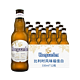 临期品、PLUS会员：Hoegaarden 福佳 比利时小麦白啤酒 330mL*12瓶