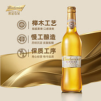 Budweiser/百威啤酒金尊啤酒500ml*12大瓶装家庭团圆聚会小酌