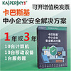 卡巴斯基（kaspersky）网络解决方案中小企业版杀毒软件1服务器10台PC三年升级