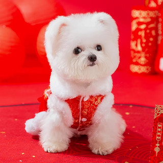 嬉皮狗（hipidog）新年福包小狗狗衣服冬季比熊泰迪小型犬冬宠物秋冬款过年挎包棉衣 流苏荷包 L （8-11斤）