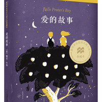 典藏版大小说:爱的故事(麦克米伦世纪童书馆)
