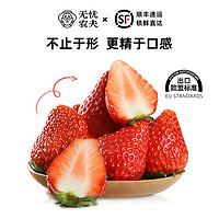 88VIP：草莓 无忧农夫红草莓隋珠香野2斤礼盒装香甜精品新鲜水果多汁顺丰空运