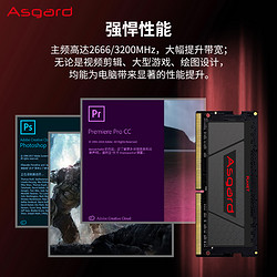 Asgard 阿斯加特 DDR4 2666MHz 笔记本内存 普条 黑色 8GB