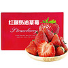 鲜合汇优 红颜99奶油草莓 大凉山草莓  新鲜水果年货礼盒 3斤整箱/单果08-12g净重2.0斤+