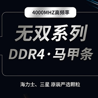 骑尘 内存条 无双DDR4 8G 3200 INTEL