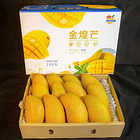 智洲海南 金煌芒 特大果9斤装 6-9个