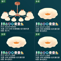 雷士 10头+卧室灯*3套餐 全光谱 三室一厅 吊灯