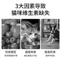 vetwish 复合维生素B补充营养七合一防猫藓掉毛美毛猫犬通用