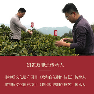 RUQUE 如雀 春茶政和白茶 3年老白茶白牡丹50g 散茶罐装 高山老白茶