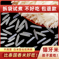 猫牙米10斤泰国香米形状长粒香大米丝苗米饭米大米新米