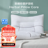 博洋(BEYOND)博洋家纺枕芯抑菌决明子荞麦枕成人缓解颈椎植物枕头花草枕 中枕—沐风(45*70cm)