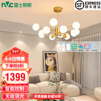 雷士 NVC   Lighting北欧铜材魔豆分子客厅大灯餐厅灯卧室灯吊灯灯具灯饰全屋套餐 智能款  12头 创意LED吊灯 90瓦