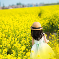 观赏油菜花种子油菜籽道路景观花海四季种植可榨油种子蜜源可食用油菜种籽简雪 油菜籽1斤