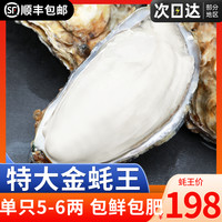 特大乳山生蚝鲜活牡蛎新鲜海鲜海产水产带箱10斤单只5-6两
