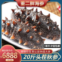 董二胖即食海参辽刺参 大连鲜食海参单独装高品质囤货送人优选 20斤装（）