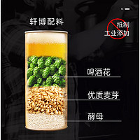 轩博 精酿啤酒  1x1x880ml 包装 880ml