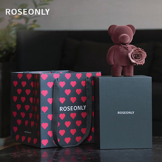 ROSEONLY 诺誓 永生花玫瑰花公仔心意熊送女友生日情人节礼物 心意熊-中号-巧克力色