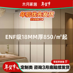 木月 一门到顶衣柜 1.1*2.3米 欧松板ENF级18MM