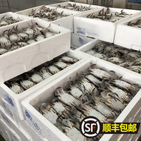 10斤一整箱特大号梭子蟹 净重7-8斤新鲜鲜活冷冻梭子蟹超大号螃蟹 10斤大号 4-6两/只(净重7-8斤)