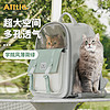 Aiitle 爱它乐 猫包外出大容量可折叠宠物透气双肩手提布偶狗背包宠物包薄荷绿