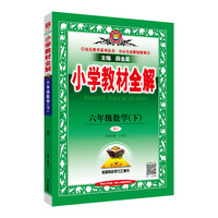 2024春 小学教材全解 六年级 6年级 数学下 人教版(RJ版)