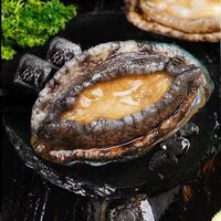 食界君新鲜冷冻大鲍鱼海鲜水产鲜活大鲍鱼 1kg 简装 筛选大鲍鱼