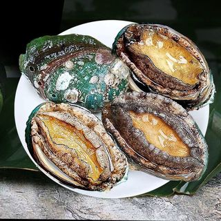 食界君新鲜冷冻大鲍鱼海鲜水产鲜活大鲍鱼 1kg 简装 筛选大鲍鱼