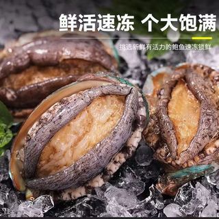 食界君新鲜冷冻大鲍鱼海鲜水产鲜活大鲍鱼 1kg 简装 筛选大鲍鱼