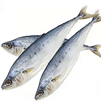 九味天 广西北海马鲛鱼干 咸鱼干500g海鱼干海鲜海产干货约4-6条 1斤