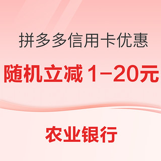 农业银行 X 拼多多 信用卡优惠活动