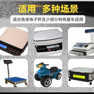 超威（CHILWEE）4v5ah20hr电池UPS电子秤4v4a5ah计价秤电子商用台秤4V通用电瓶 超威经典款【4V5AH】